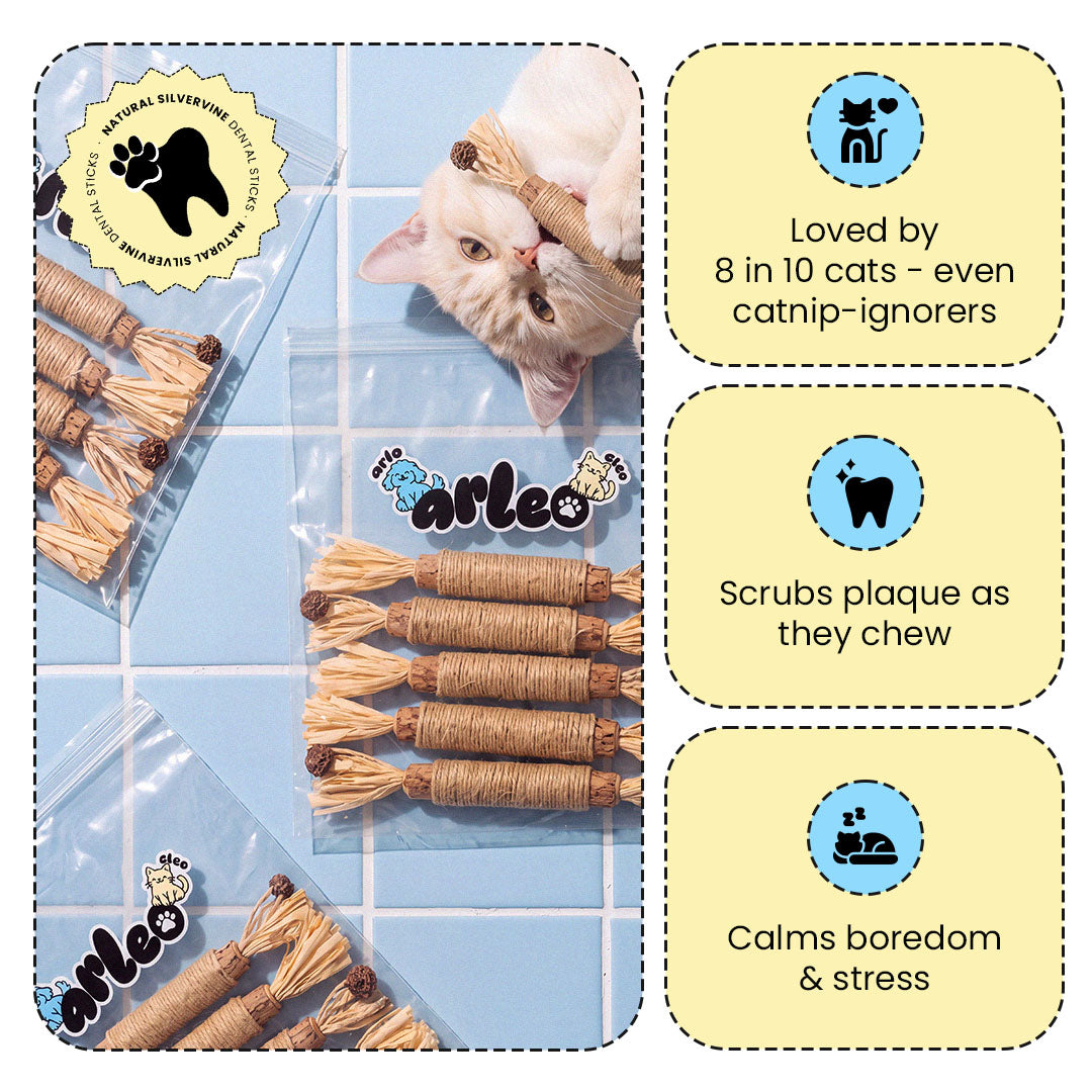 Arleo Natural Silvervine Cat Sticks - Attracts More Than 95% Of The Cats To Chew and Scratch